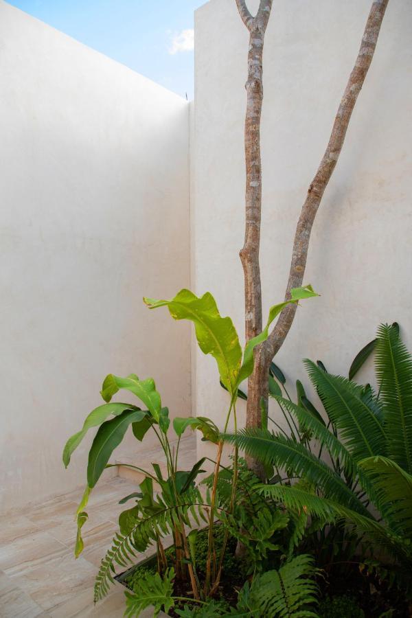 Agua De Cienega Hotel Hunucma المظهر الخارجي الصورة